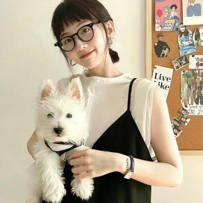 反贪风暴3
